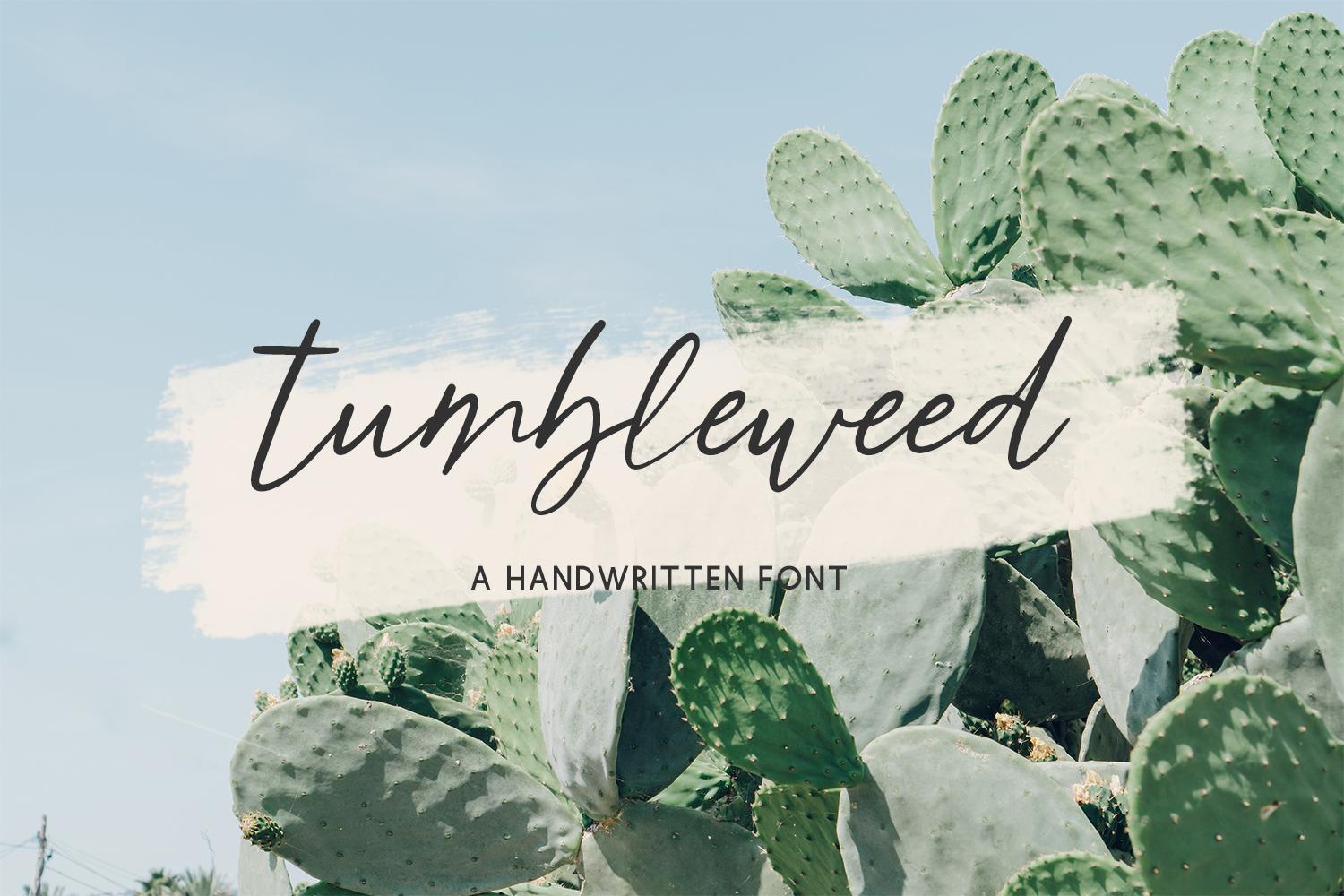 Tumbleweed Script Font