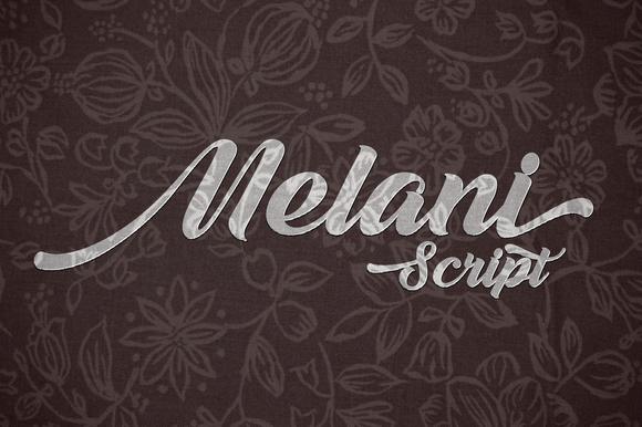 Melani Script Font