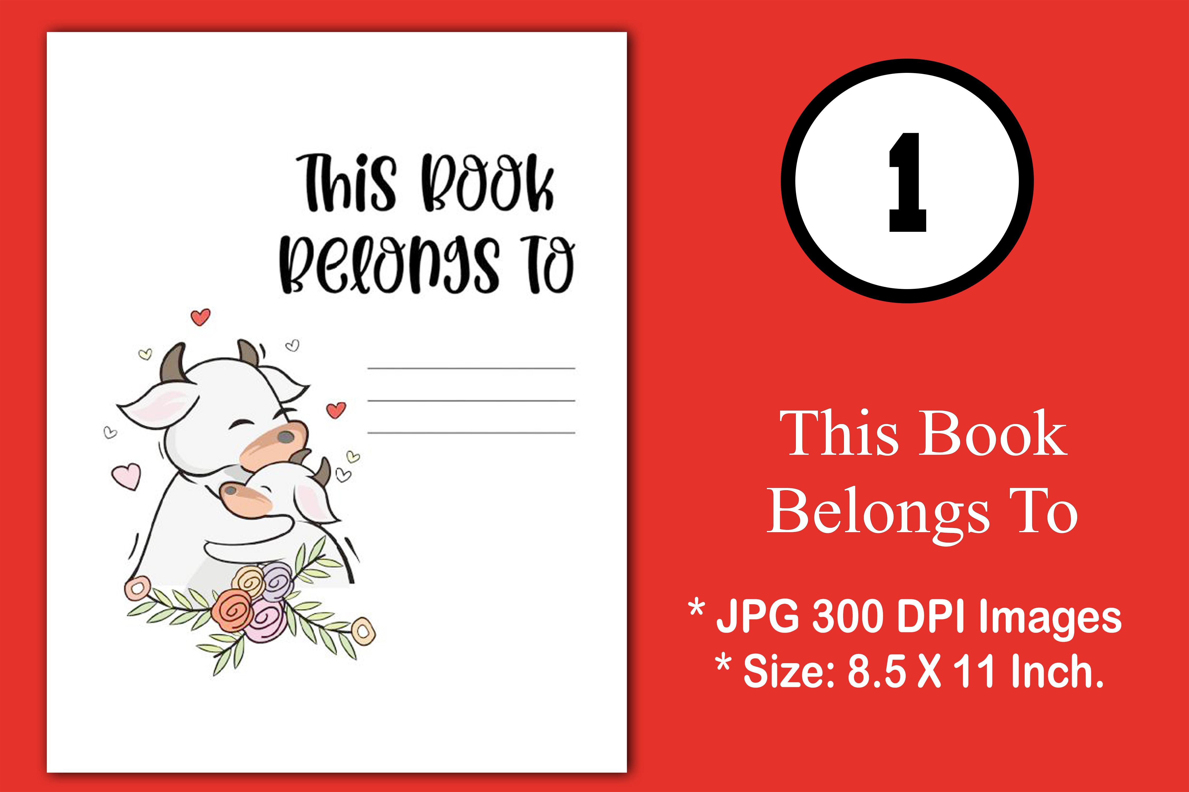 THIS BOOKS BELONGS to