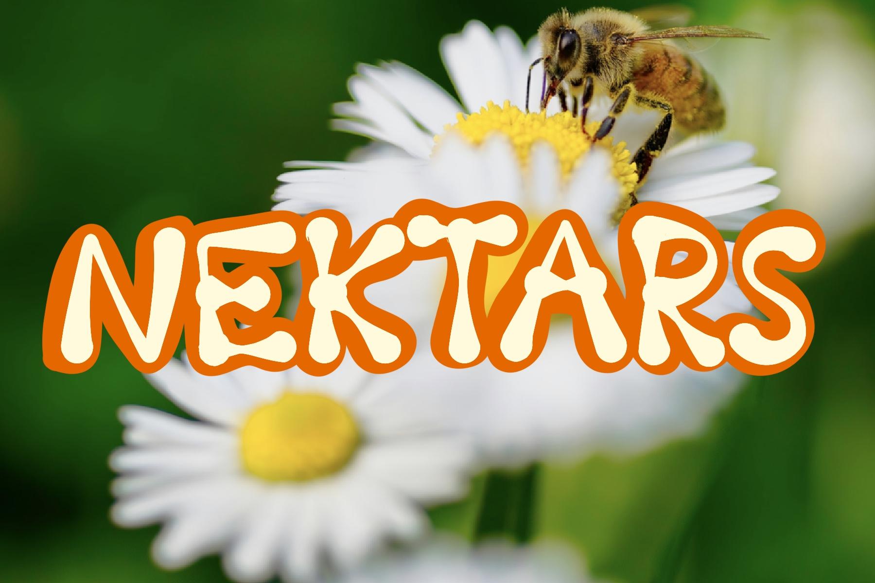 Nektars Font