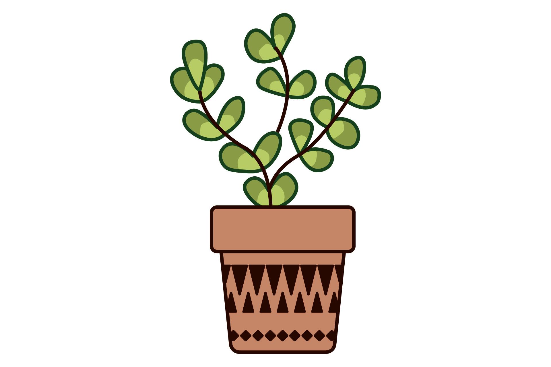 Plant Leaf Jungle