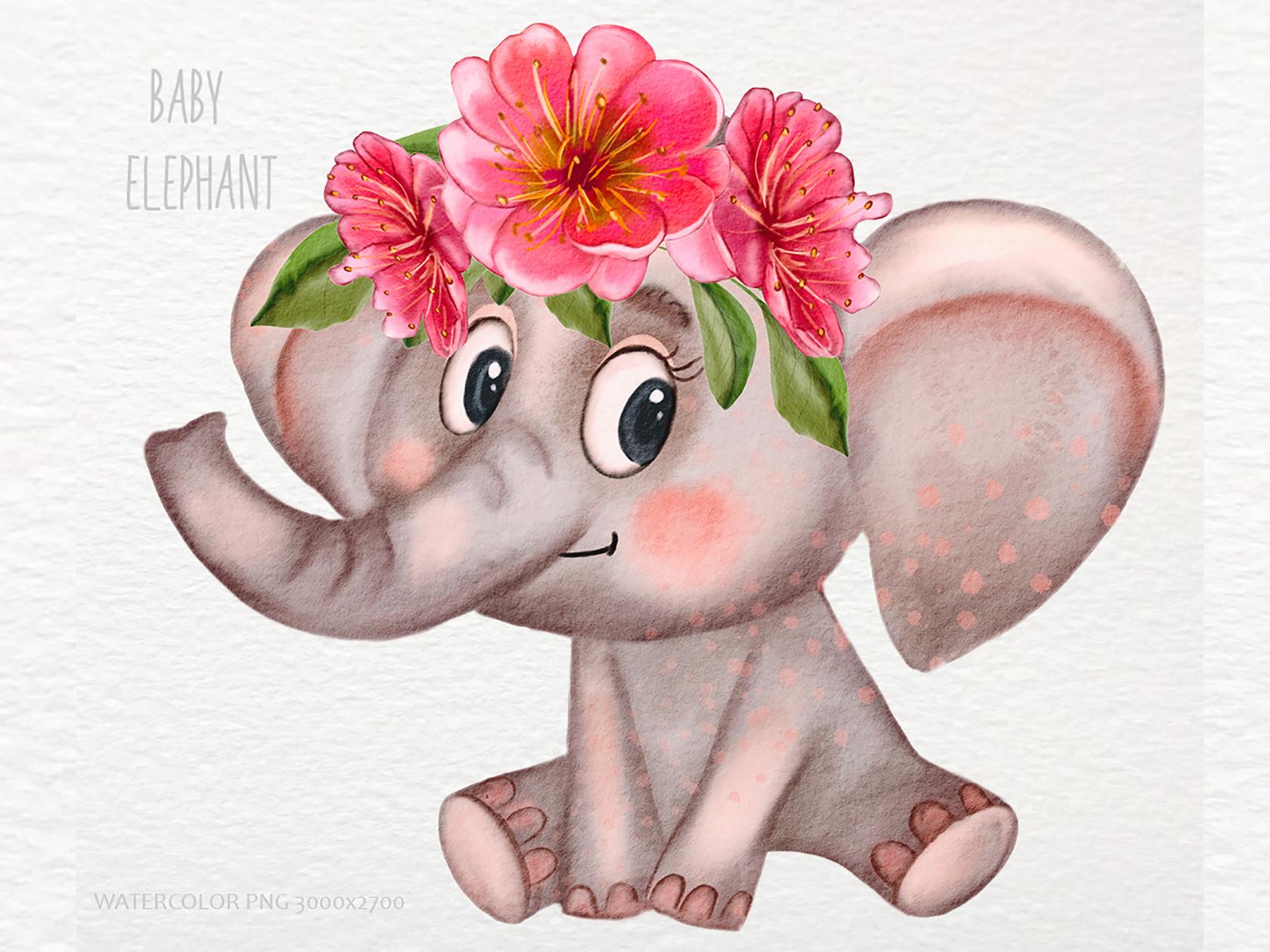 Cute Baby Elephant