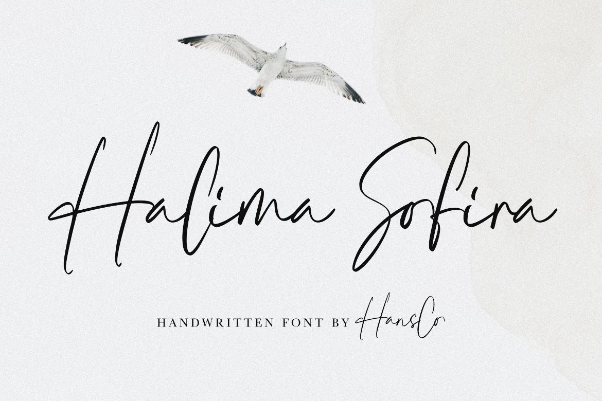 Halima Sofira Font