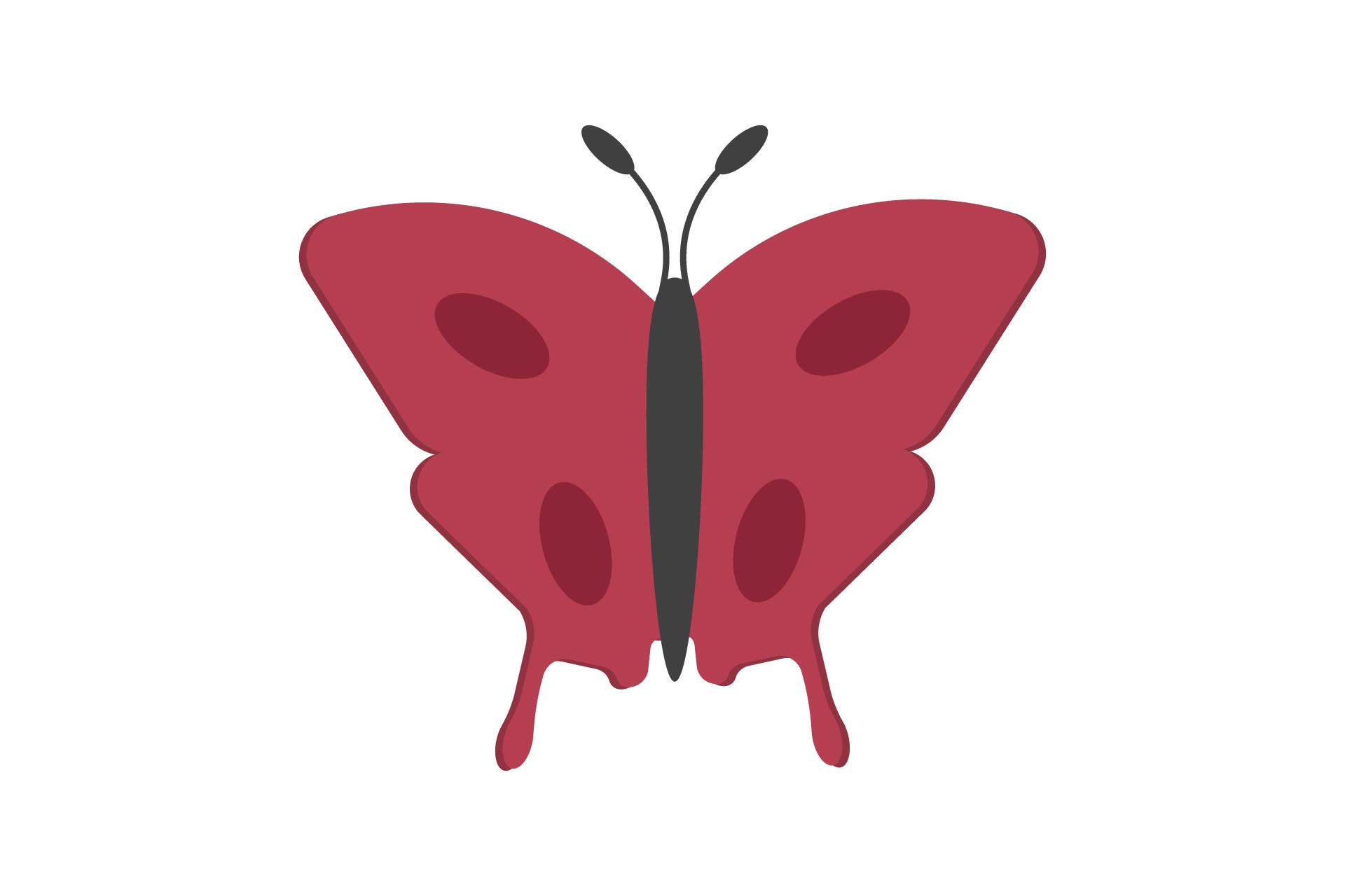 Summer Butterfly Nature