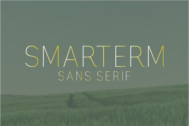 Smarterm Font