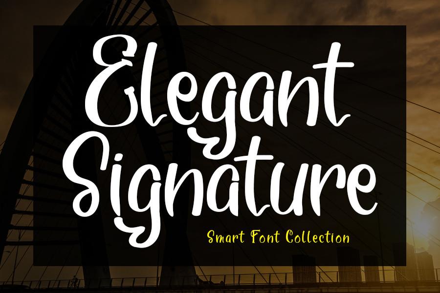 Elegant Signature Font