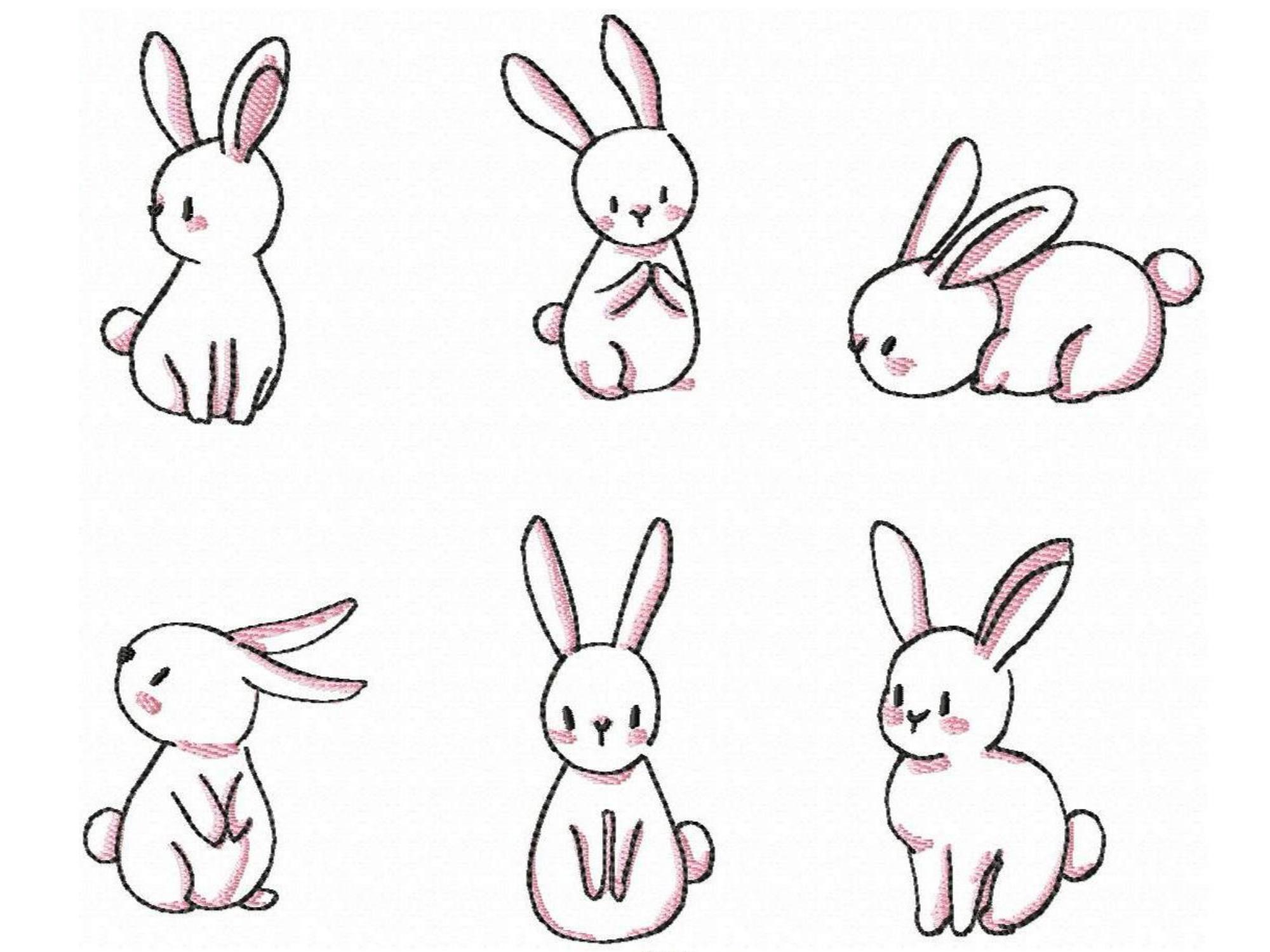 Baby Bunny