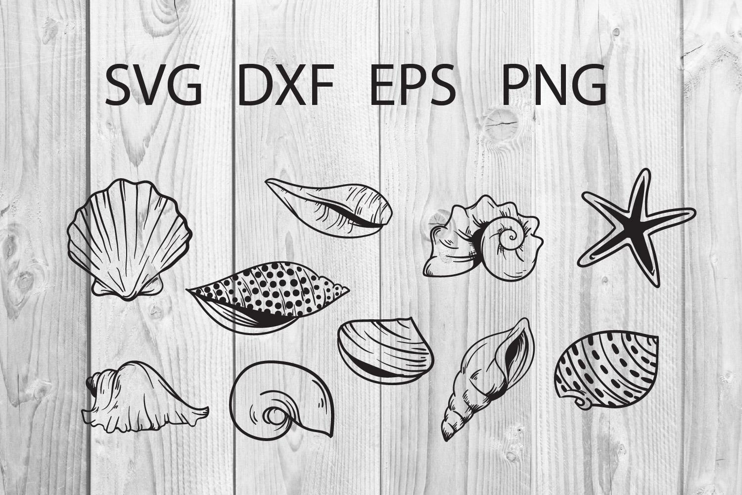 Seashell Cut File Svg
