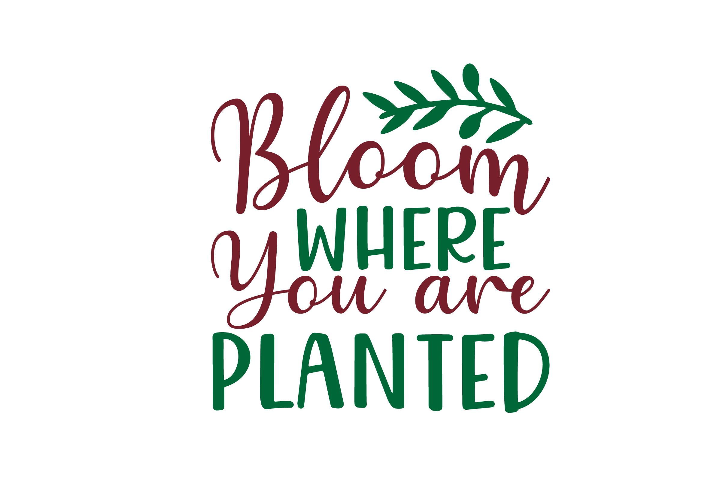 Bloom Where You Are Planted SVG