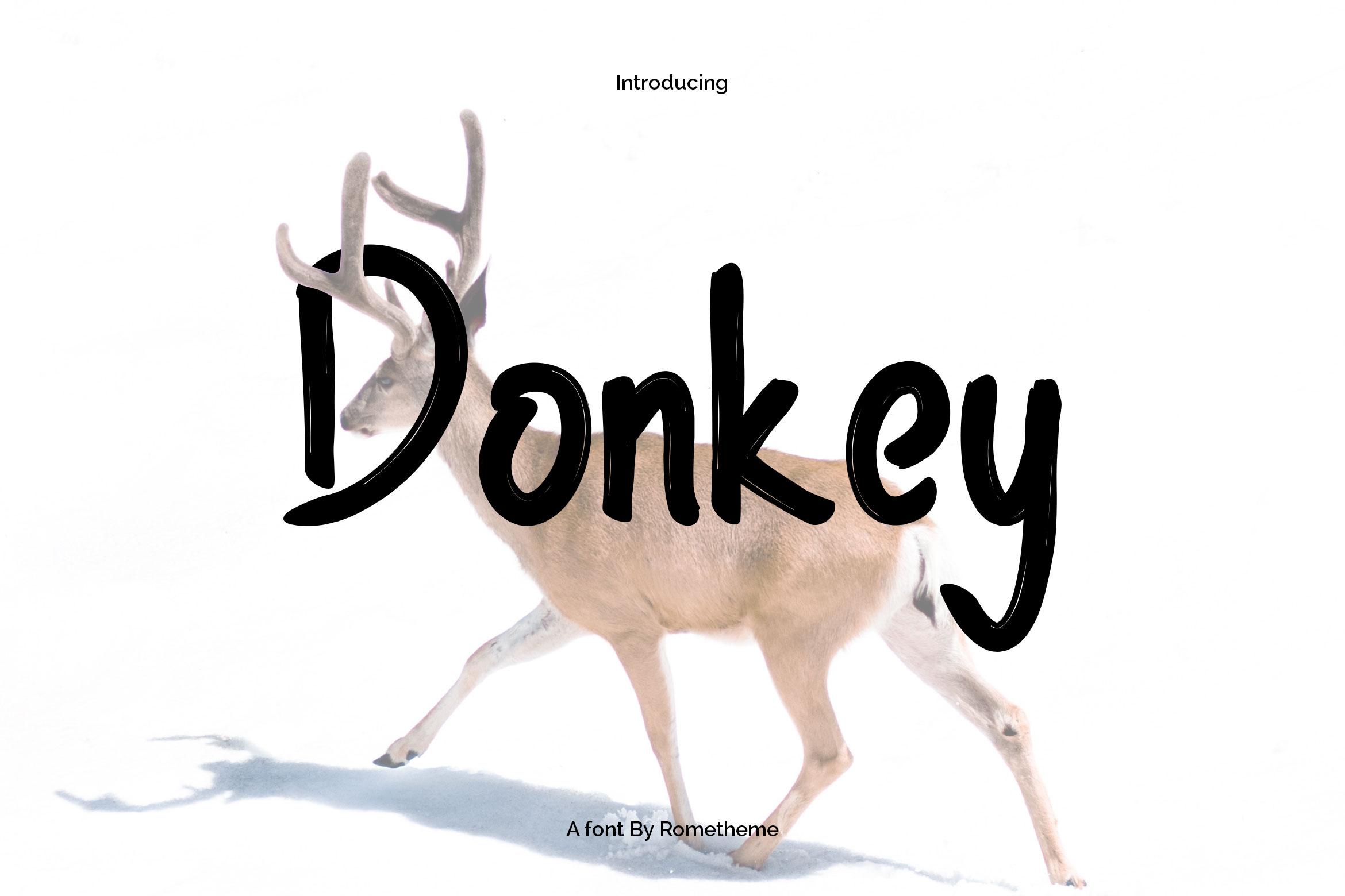 Donkey Font
