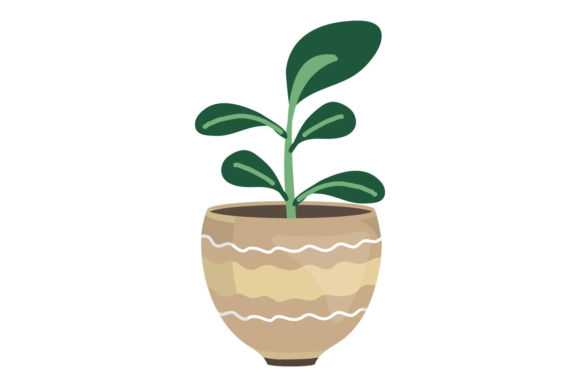 Plant Botany Garden
