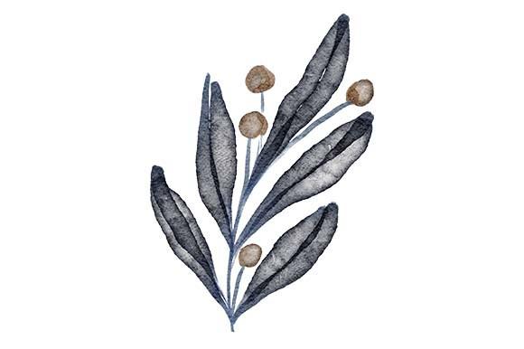 Watercolor Leaf Foliage Floral Element