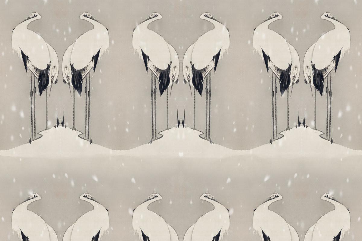 Chinese Crane in Snow