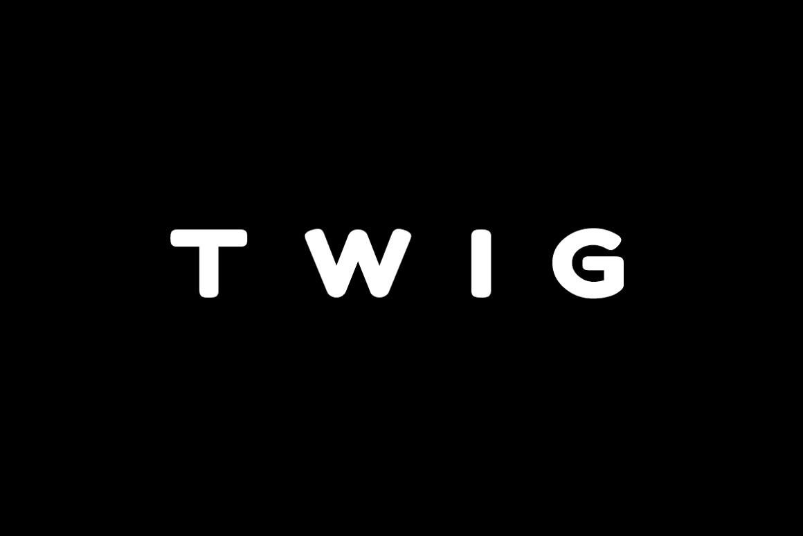 Twig Font