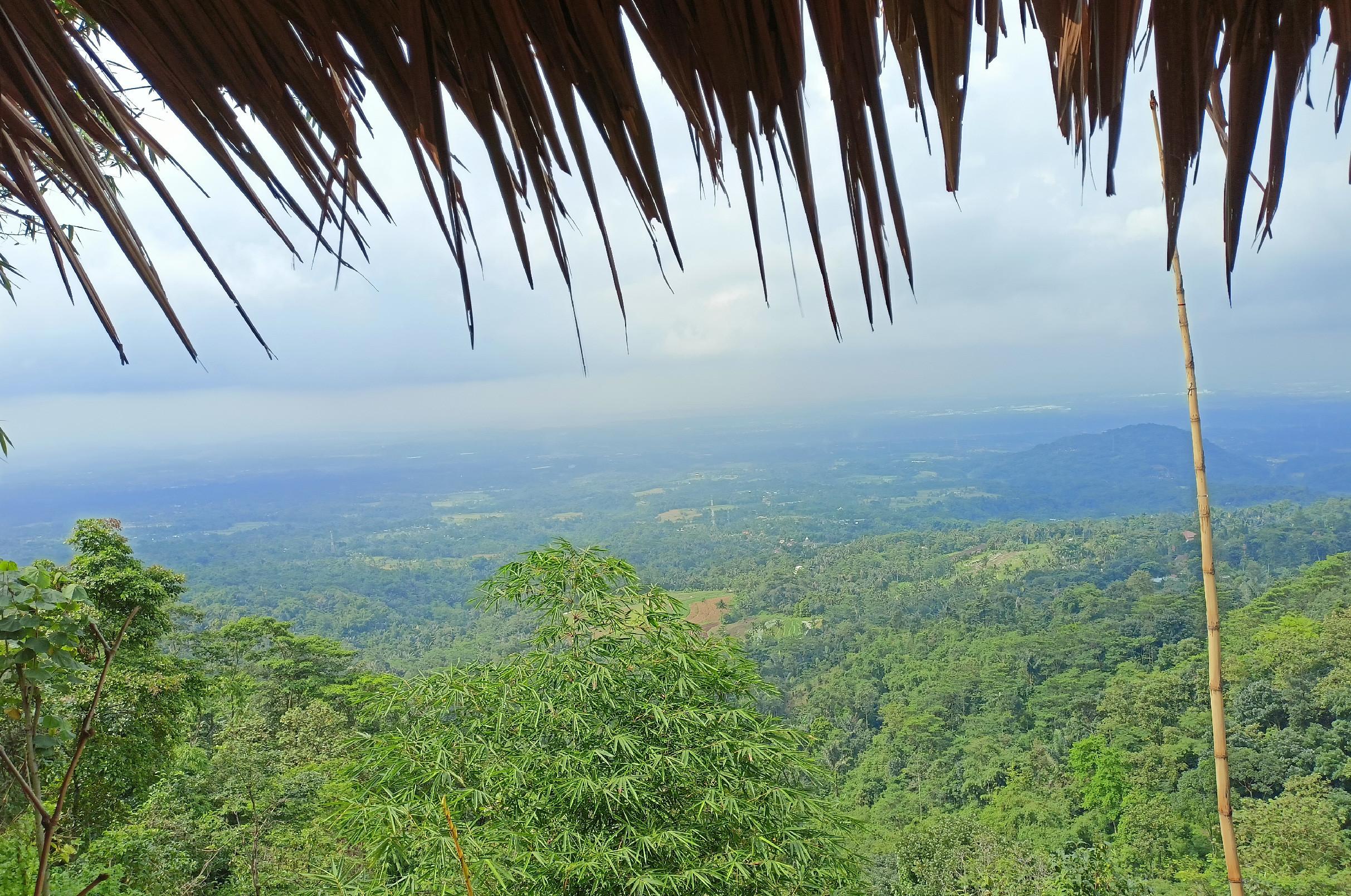 Landscape Photo