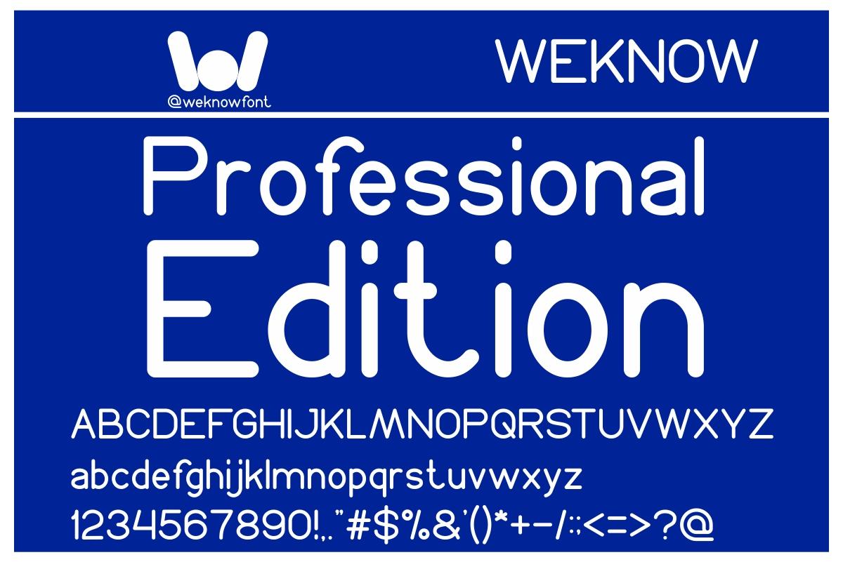 Professional Edition Font