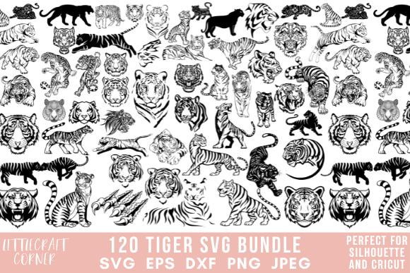 Tiger Graphic Bundle Chinese New Year