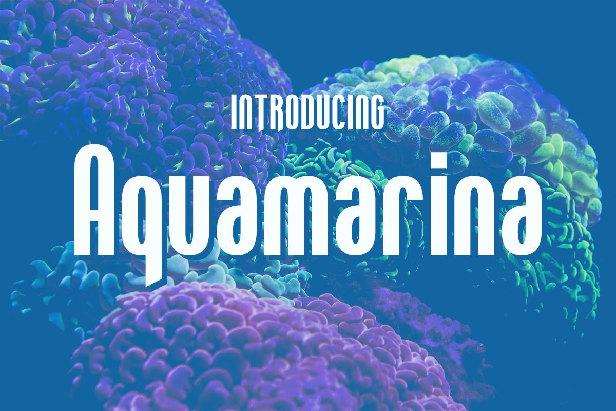 Aquamarina Font