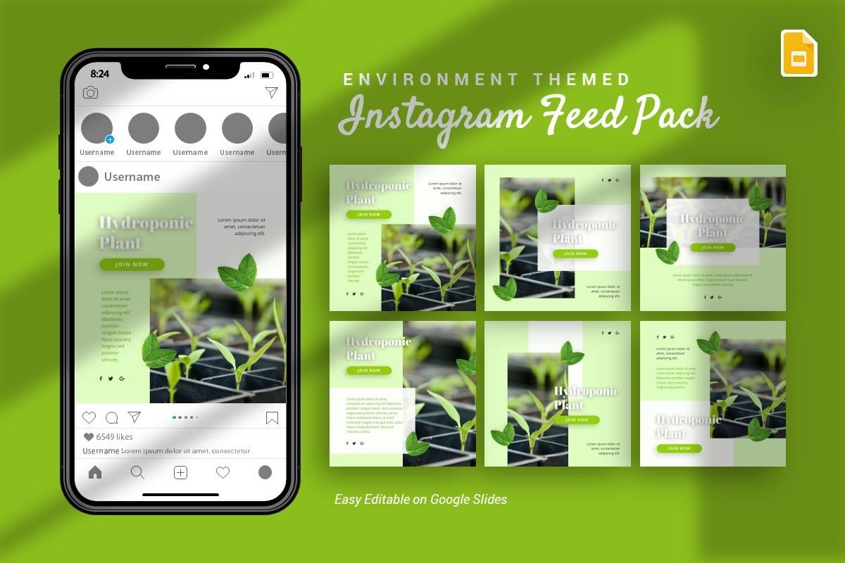 Instagram Feed - Environment Google Slid