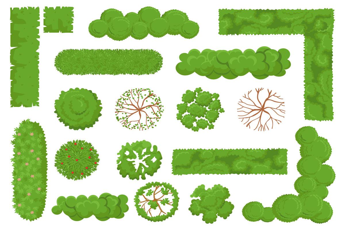 Top View Trees and Bushes