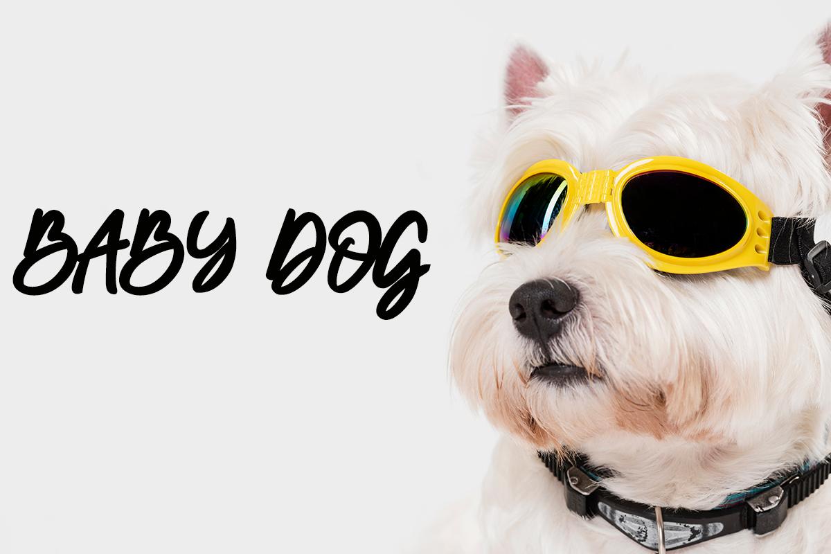 Baby Dog Font