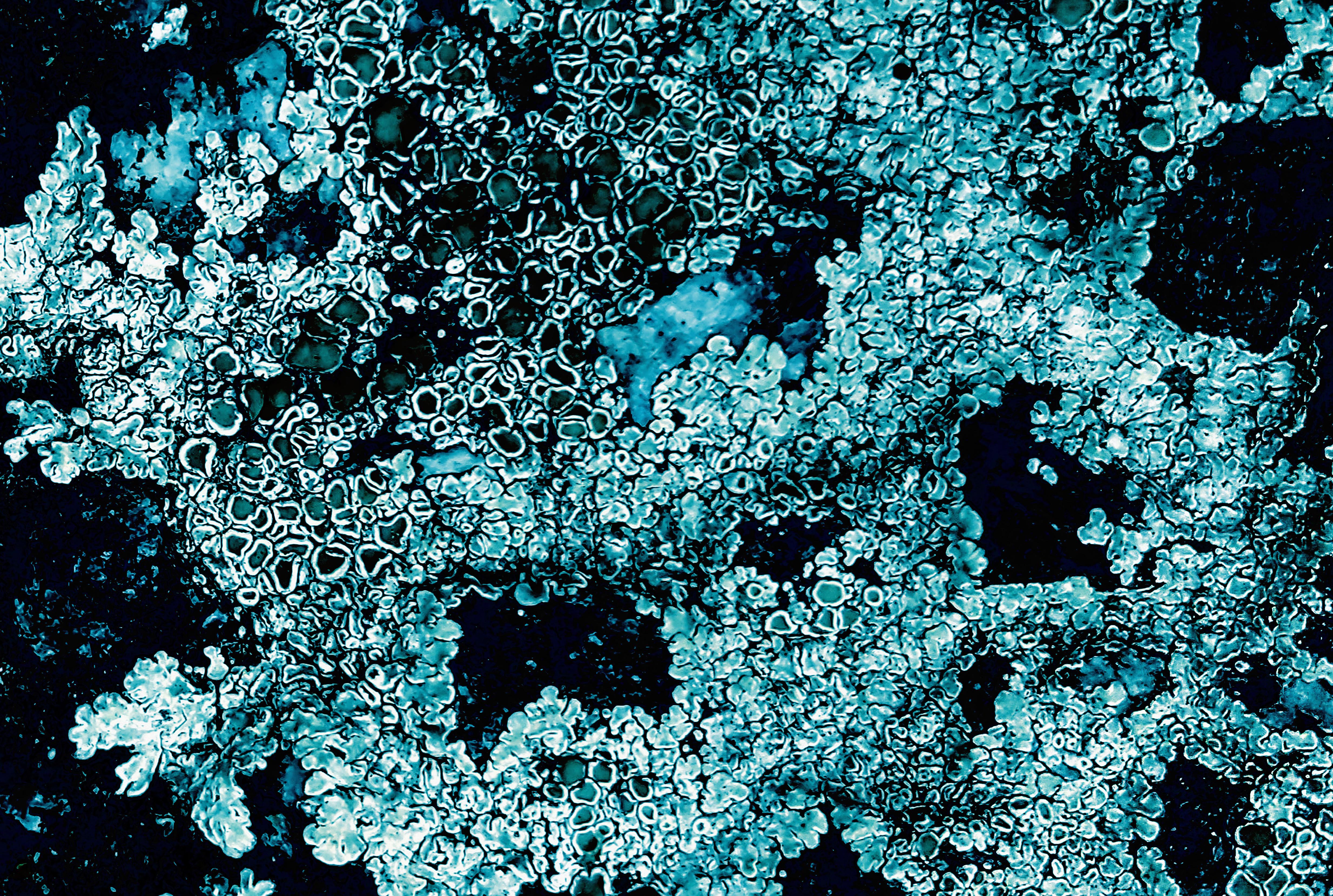 Blue Abstract Texture Background