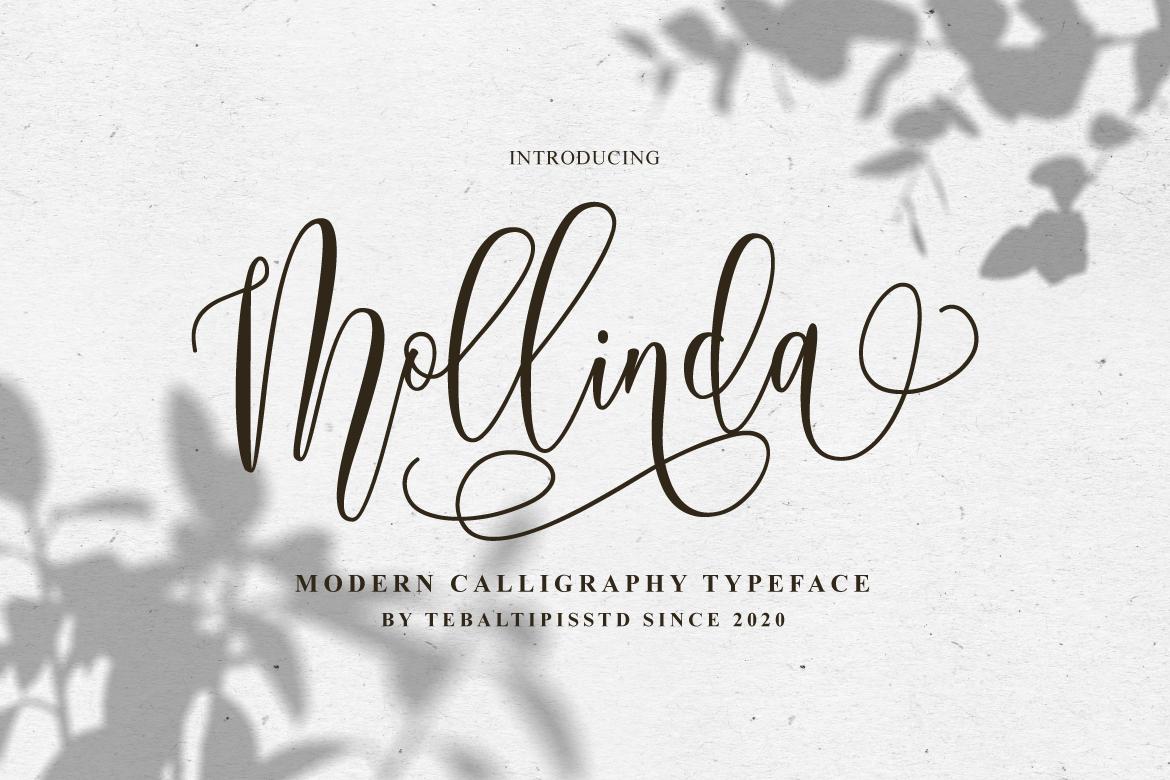 Mollinda Font