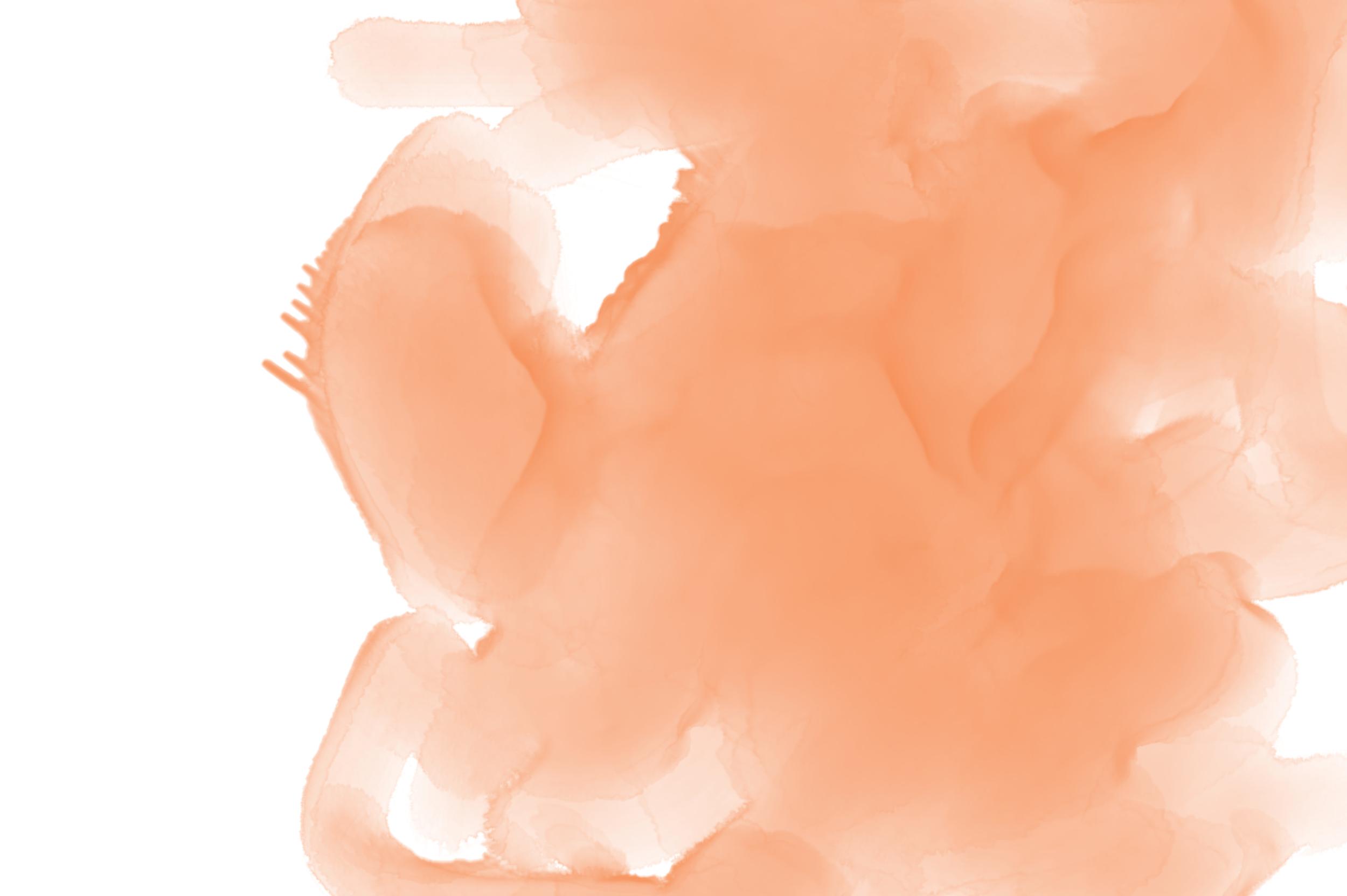 Colorful Watercolor Transparent