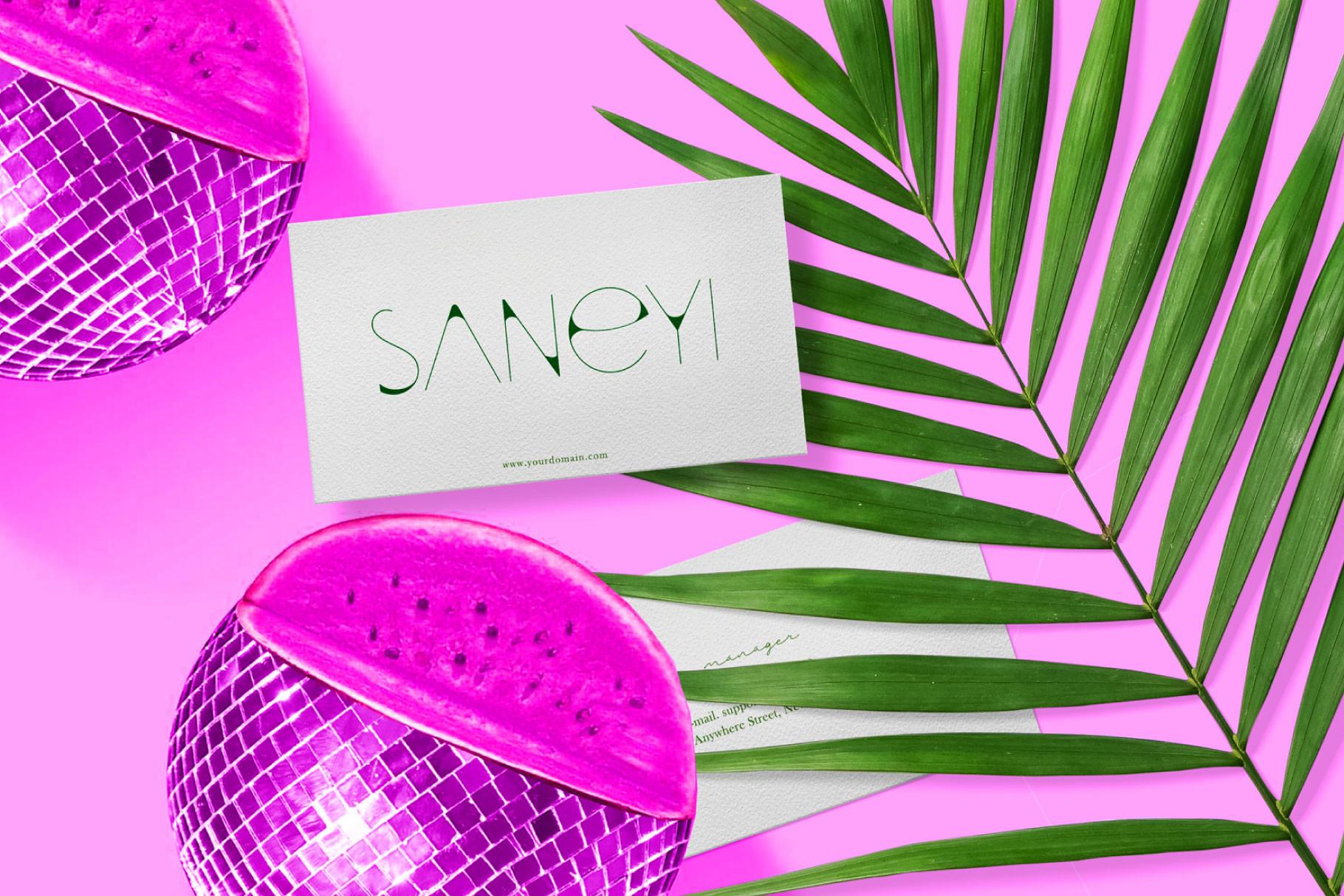 Saneyi Font