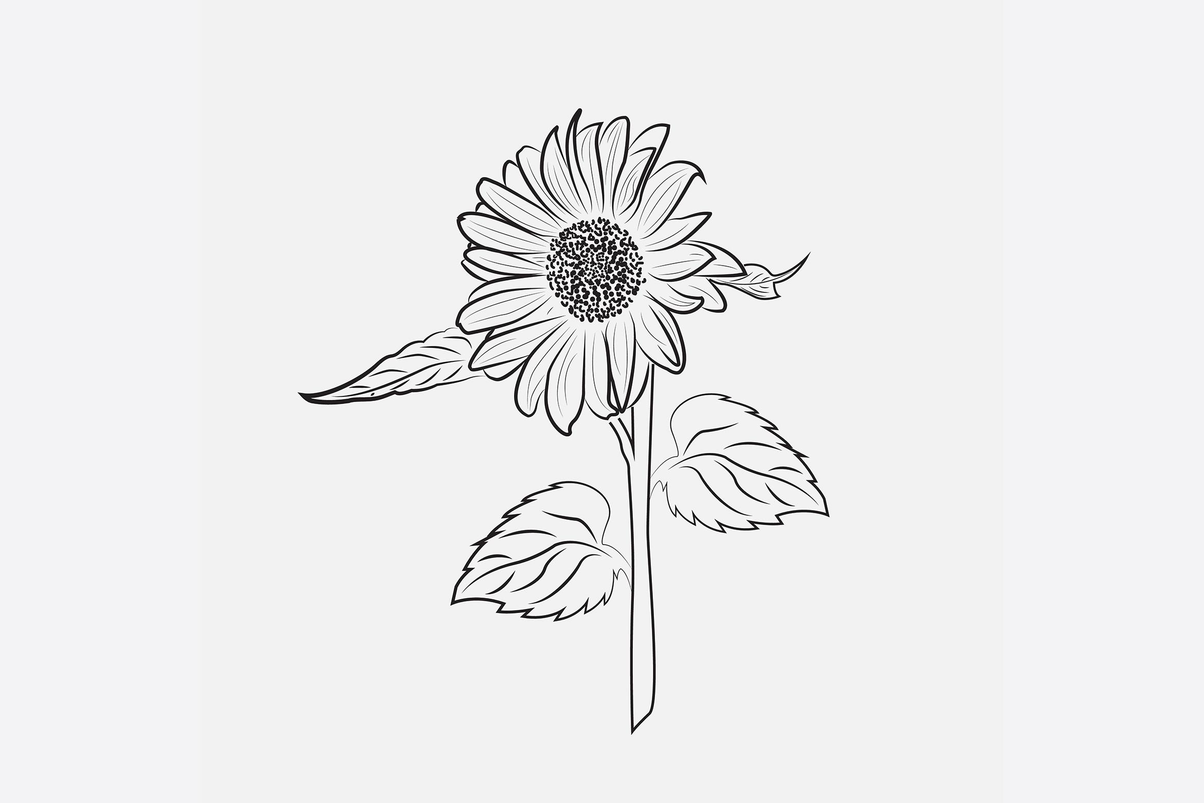 Sun Flower Line Art