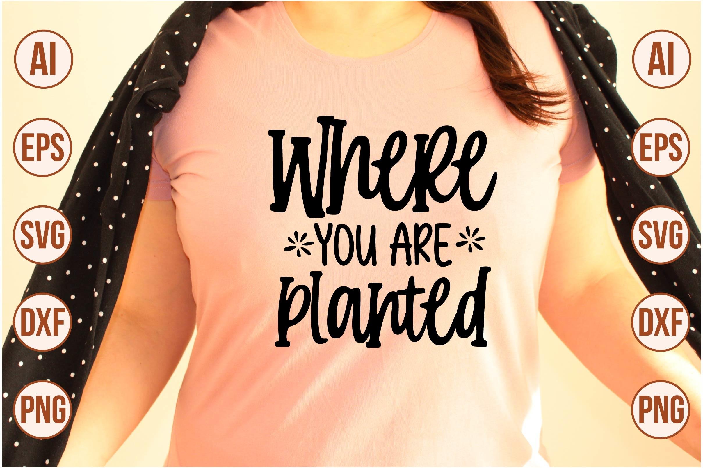 Where You Are Planted
