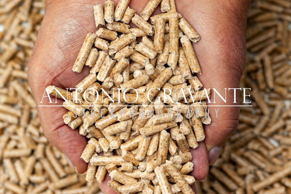 Wood Pellets in Hands