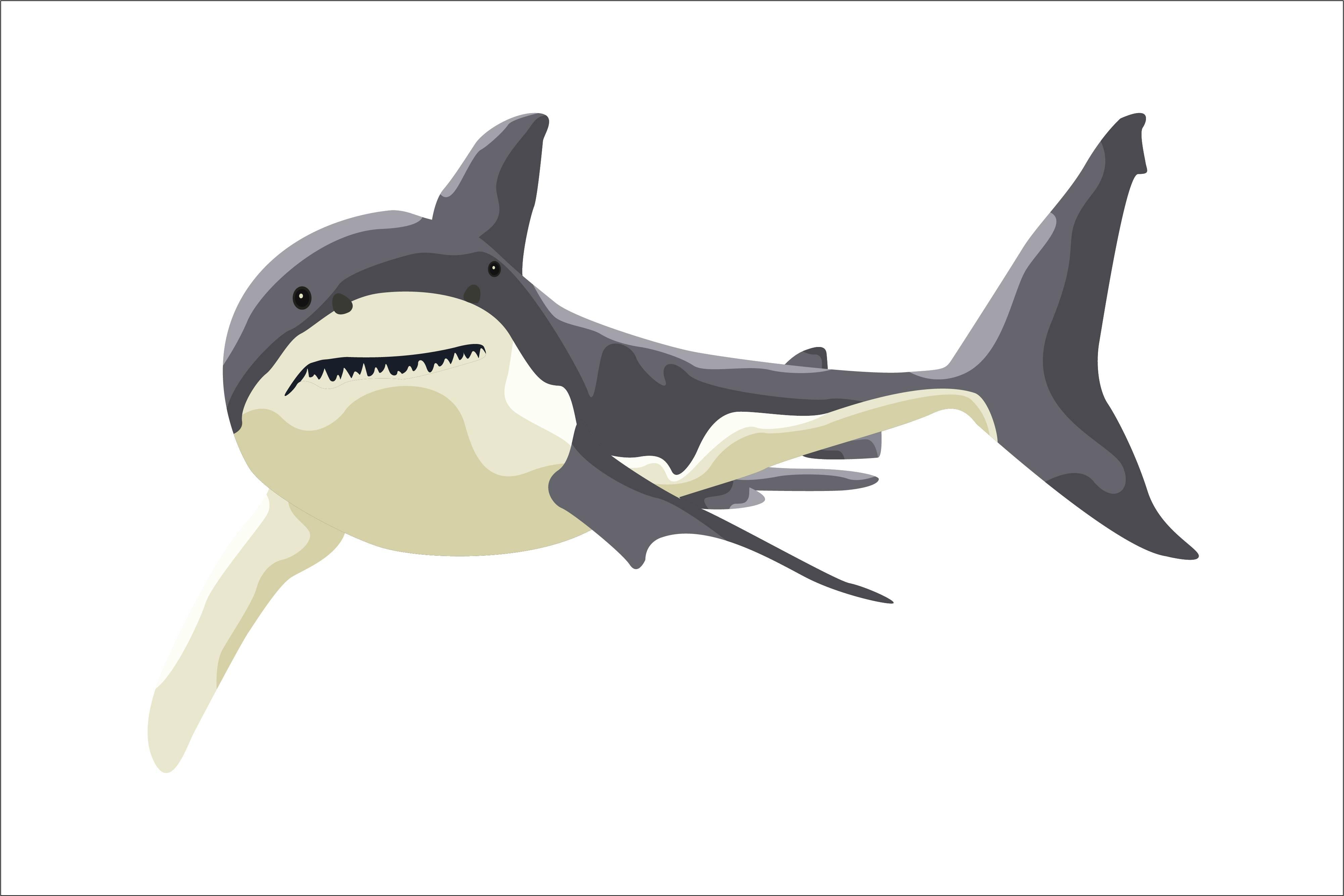 ThePretty Shark Greet to You Vector