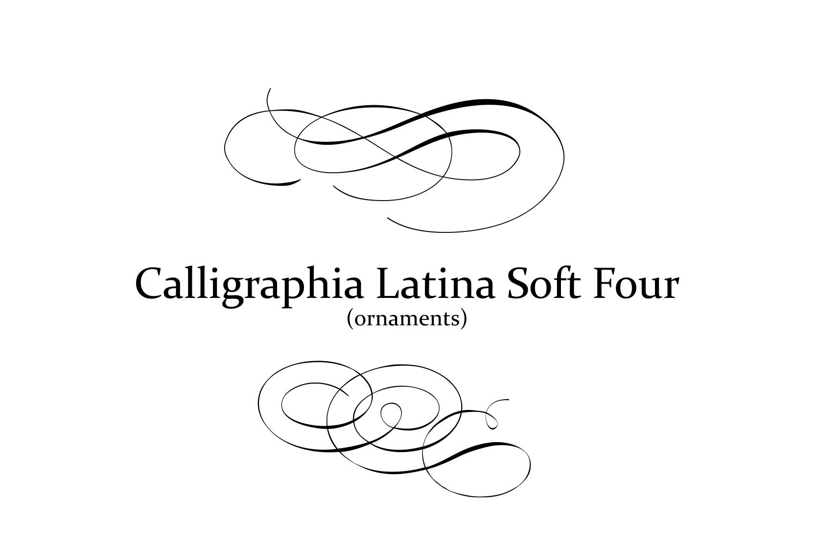 Calligraphia Latina Soft 4 Font