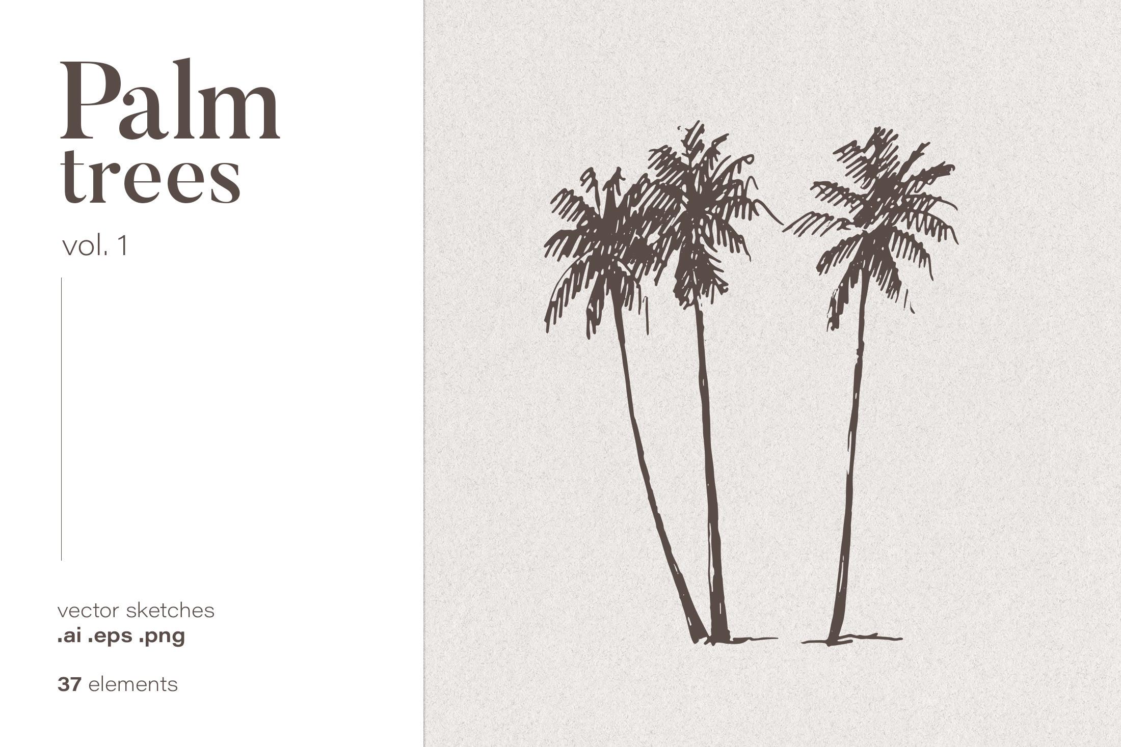 Silhouettes of Palm Trees