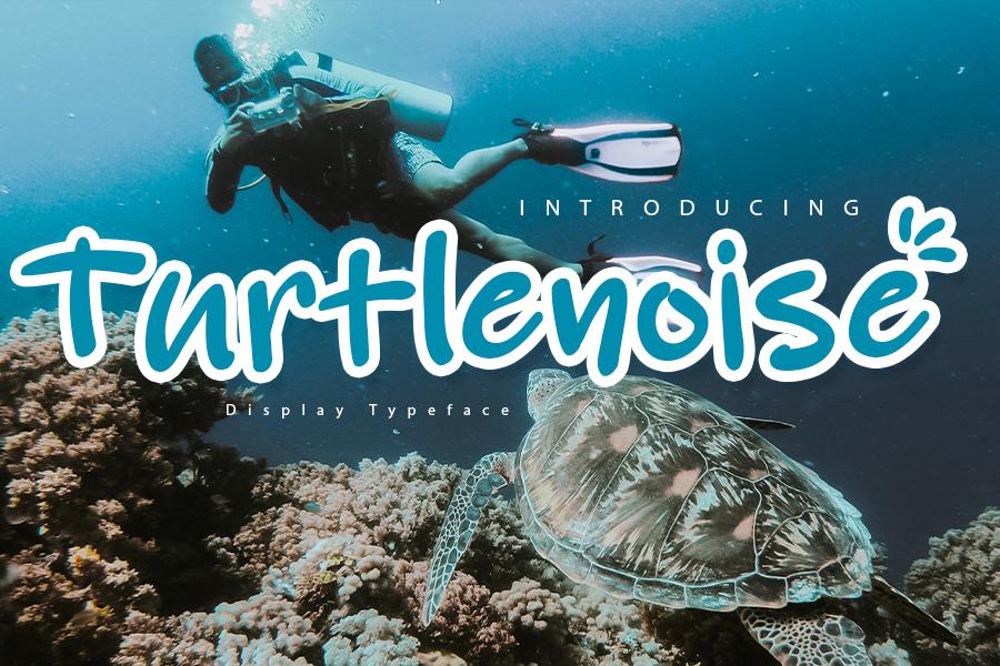 Turtle Noise Font