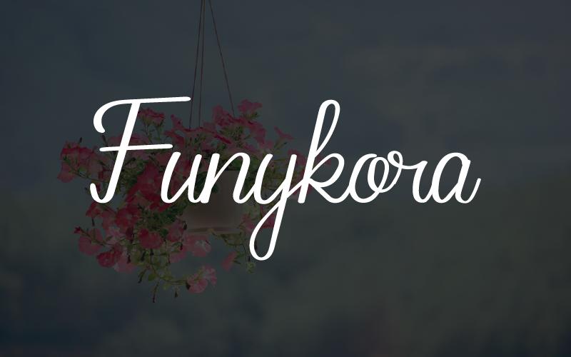 Funykora Font