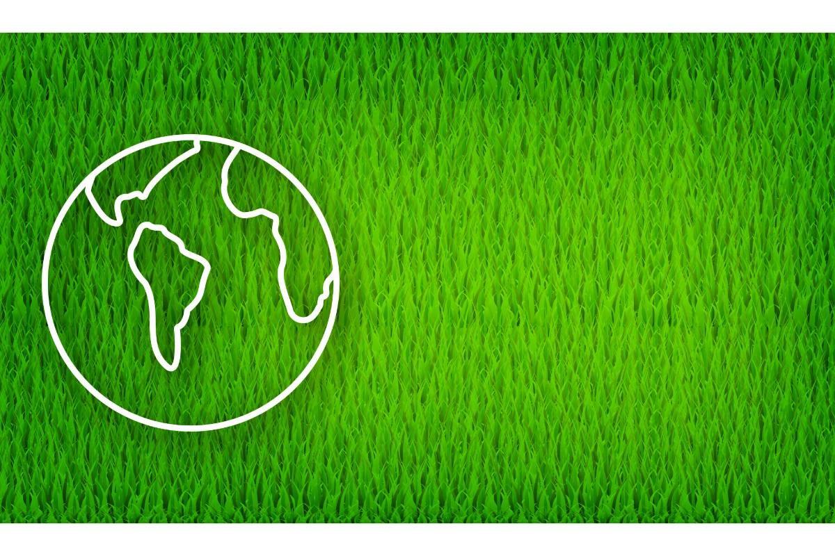 Earth Globes Line Icon Isolated on White