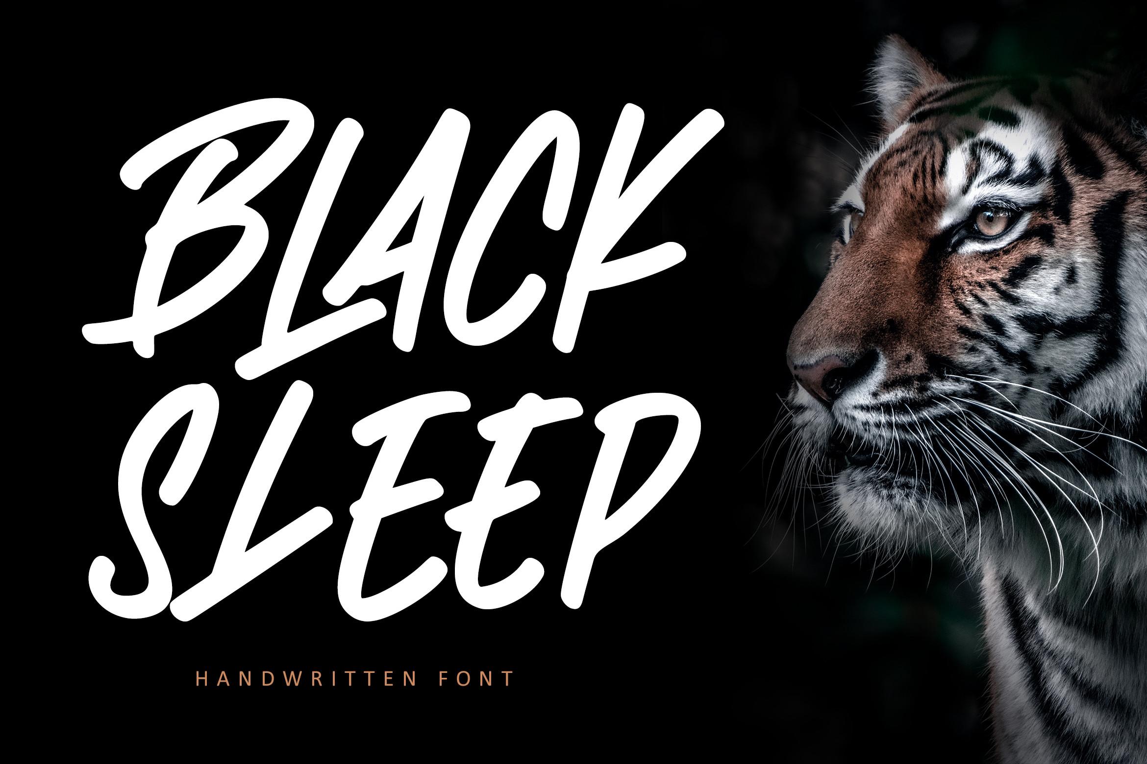 Black Sleep Font