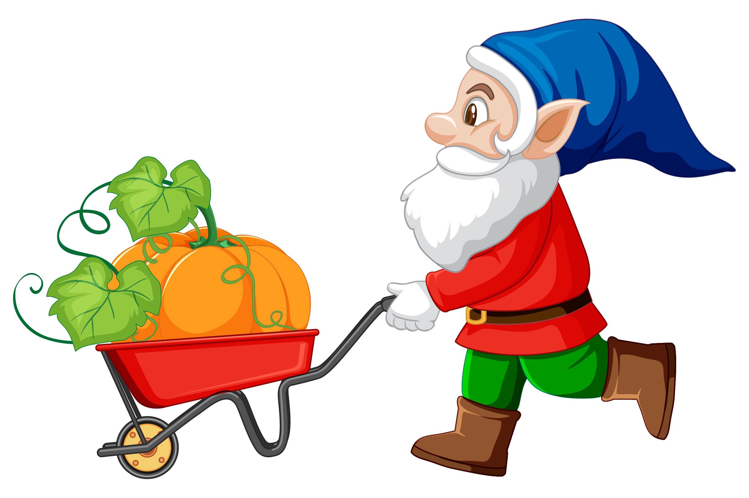 Gnome-havest-pumpkin-with-wheelbarrow-ca