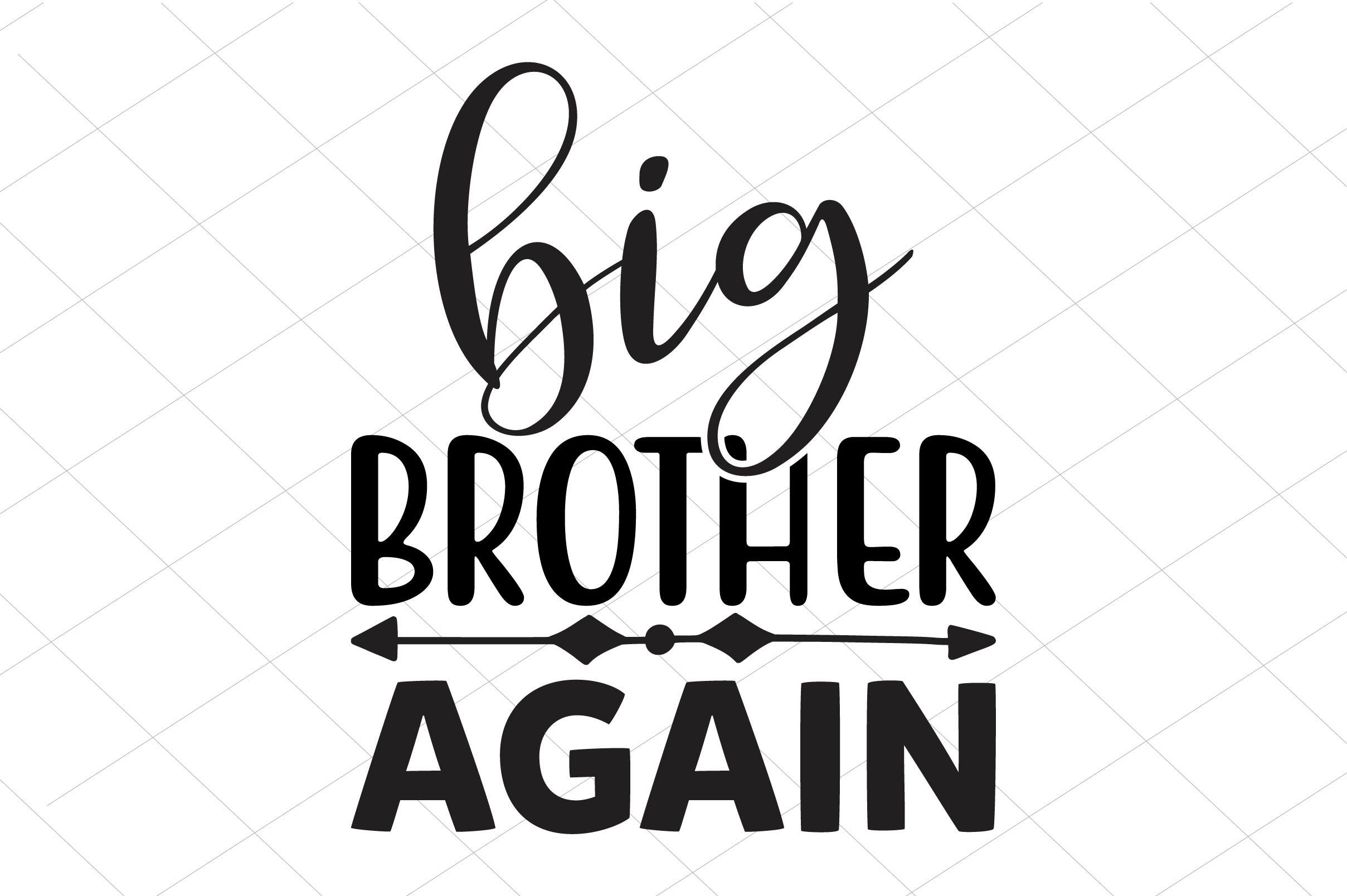 Big Brother Again