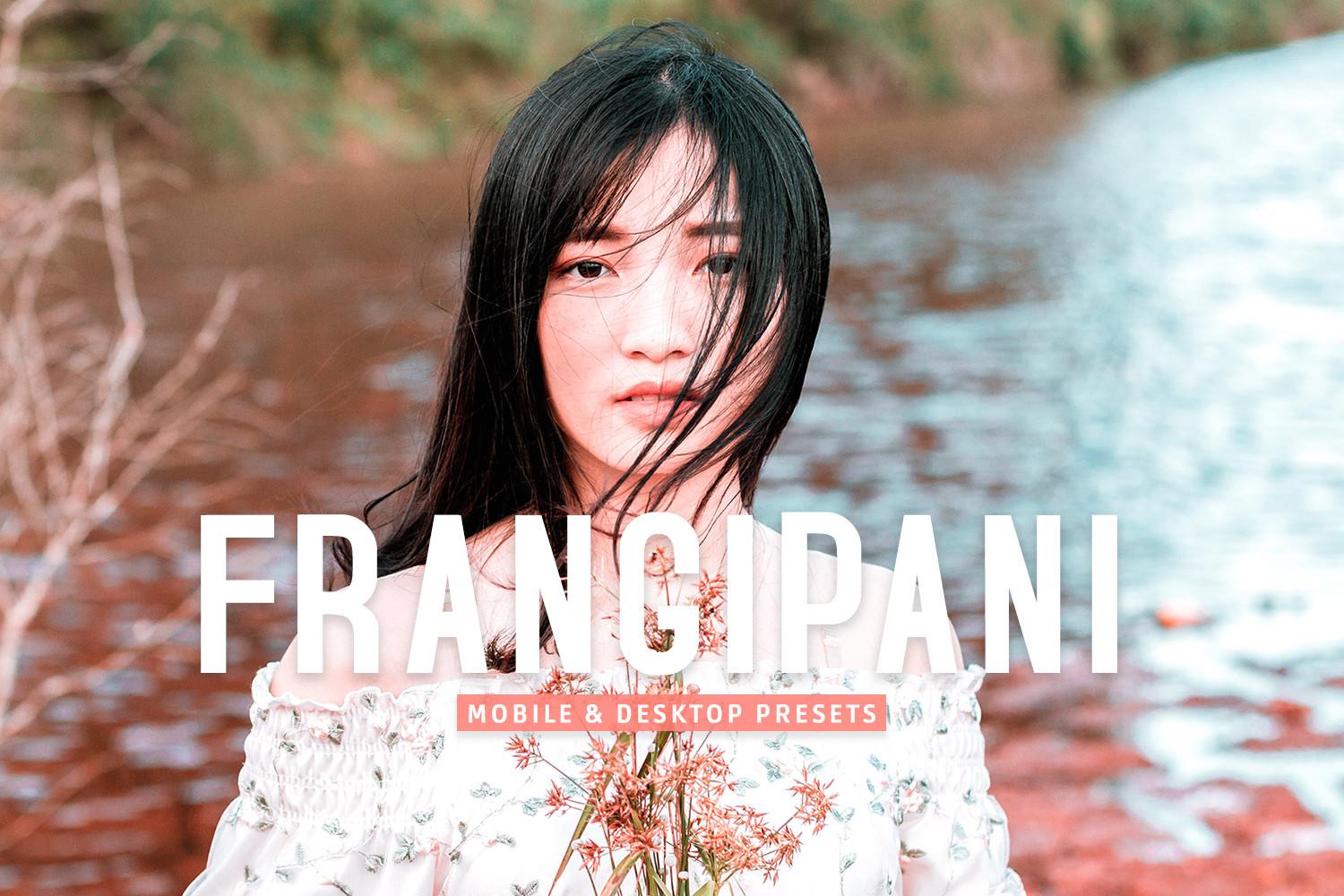 Frangipani Pro Lightroom Presets
