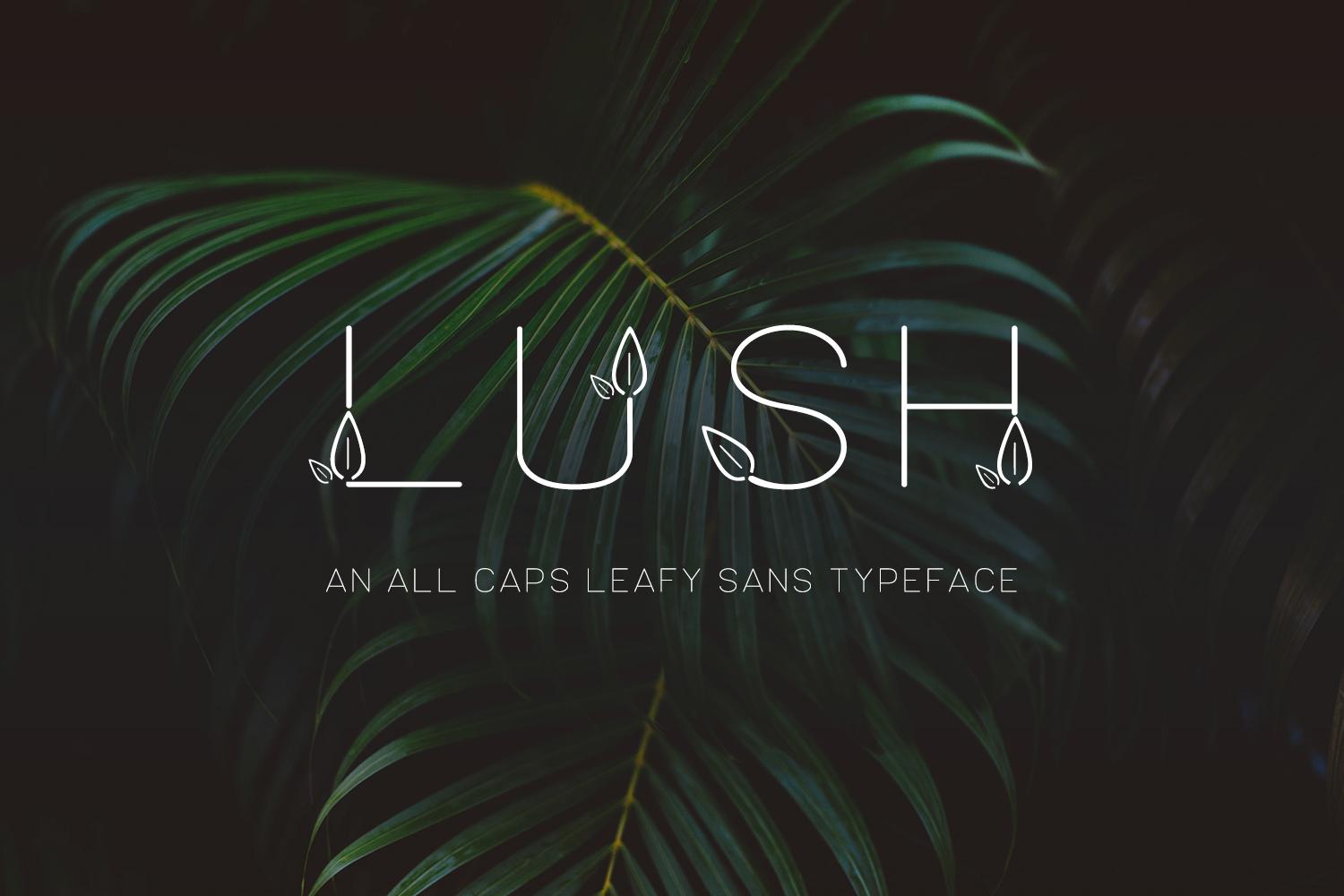 Lush Sans Font
