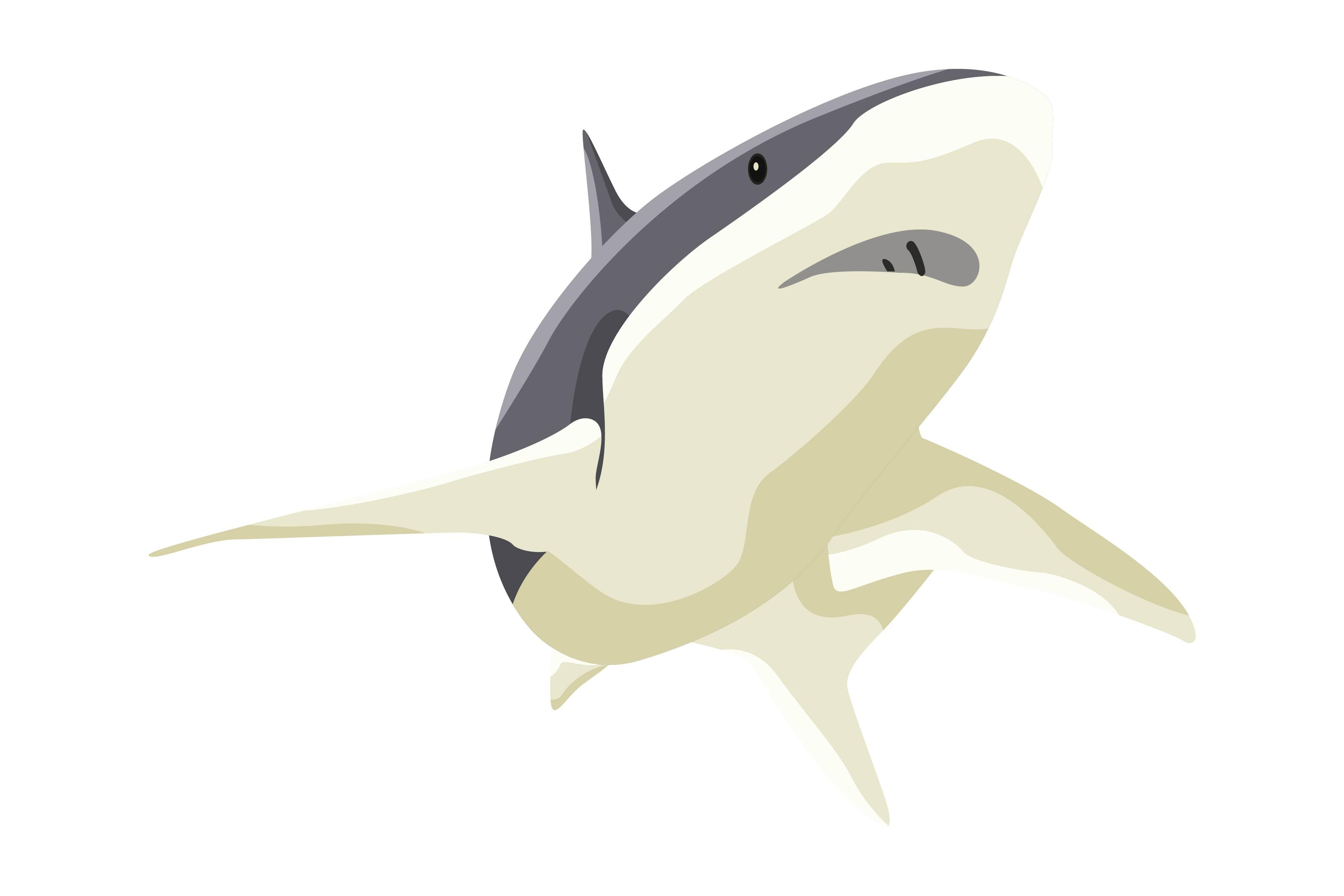 The Shark Enjoyed the Sea Vector