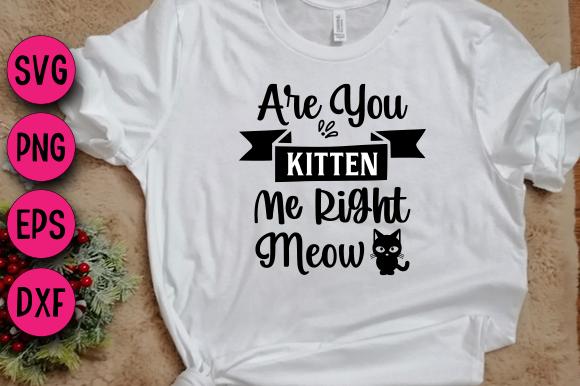 ARE YOU KITTEN ME RIGHT MEOW