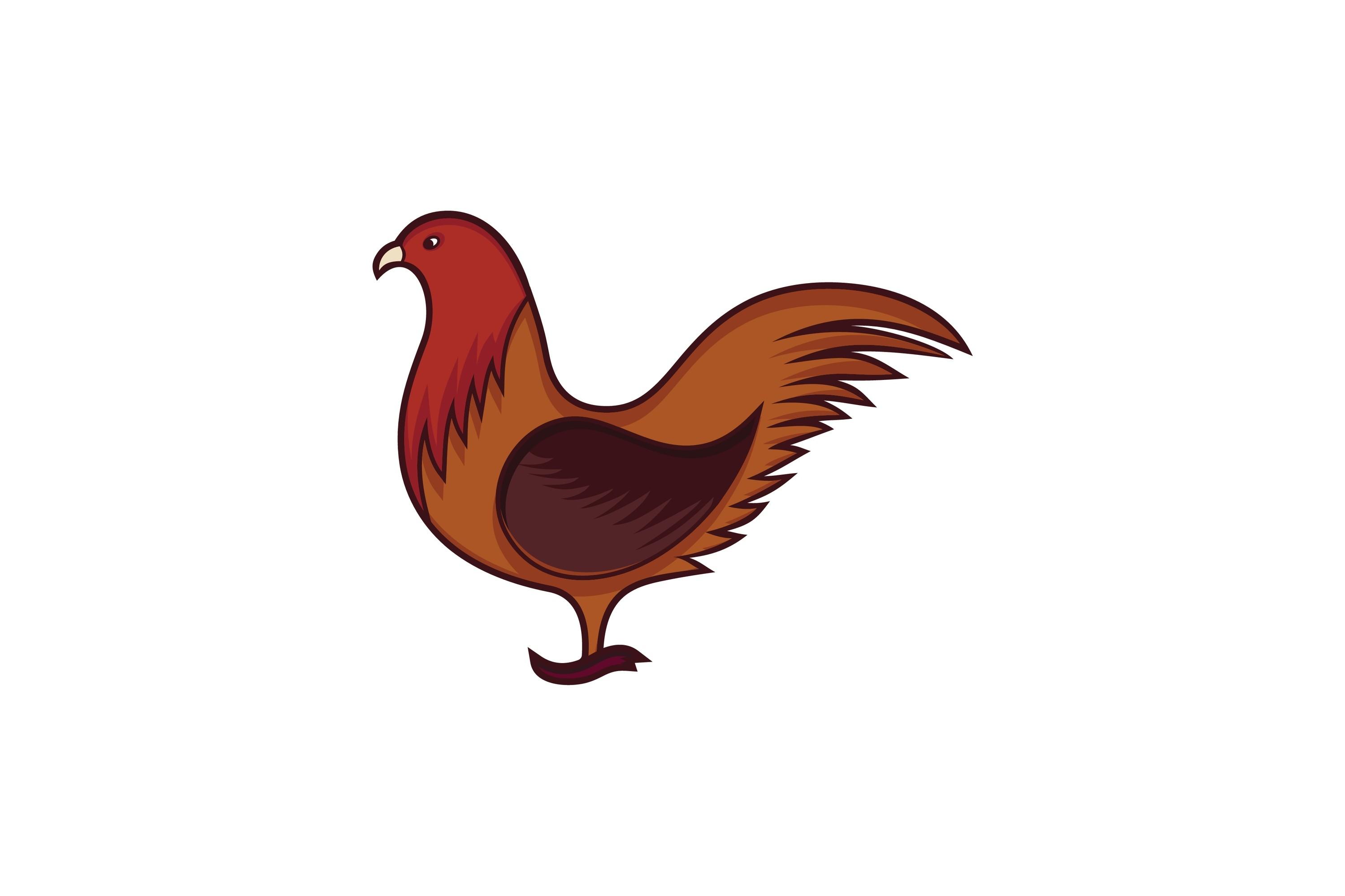 Chicken Vector Illustration