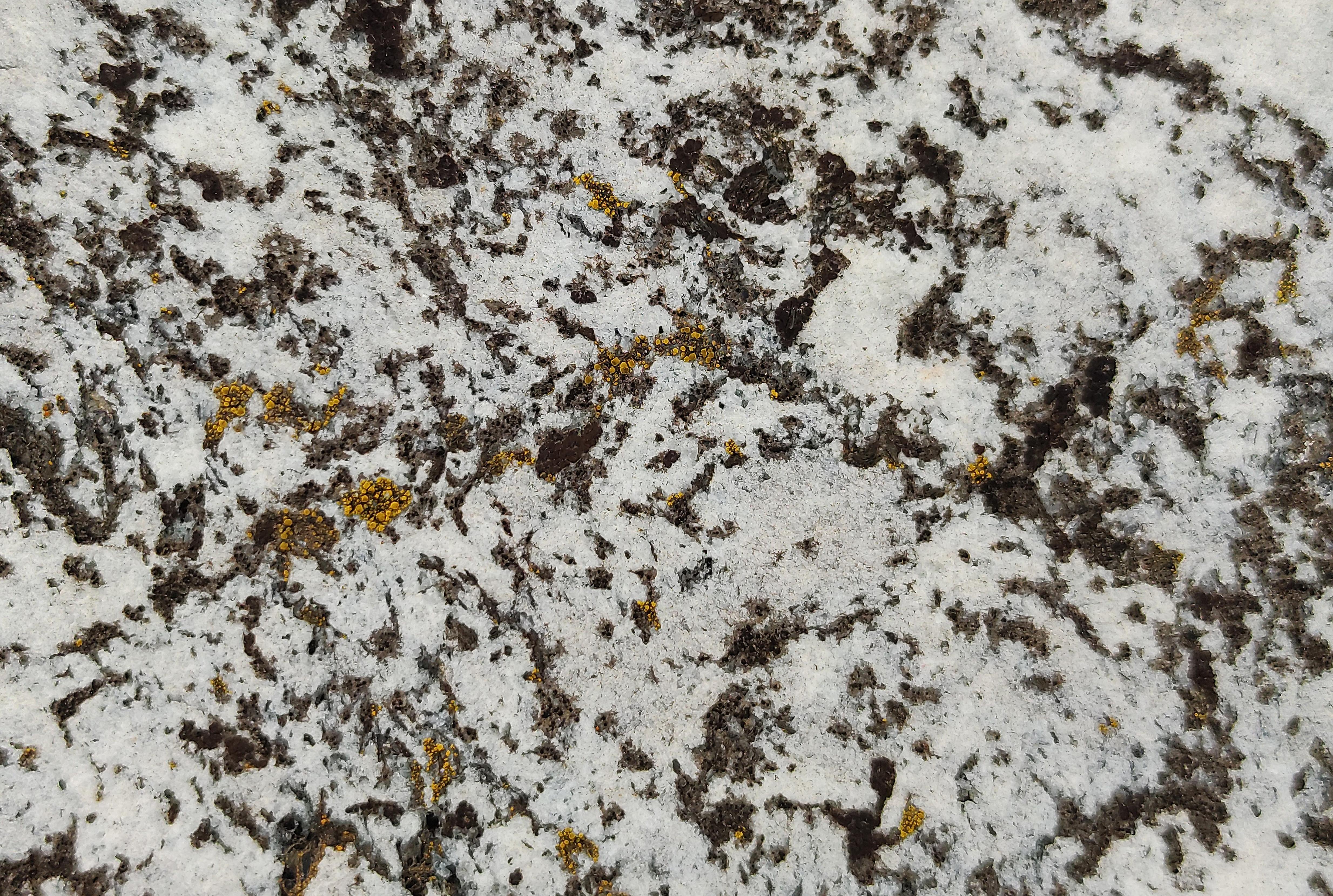 Marble Texture Background Image
