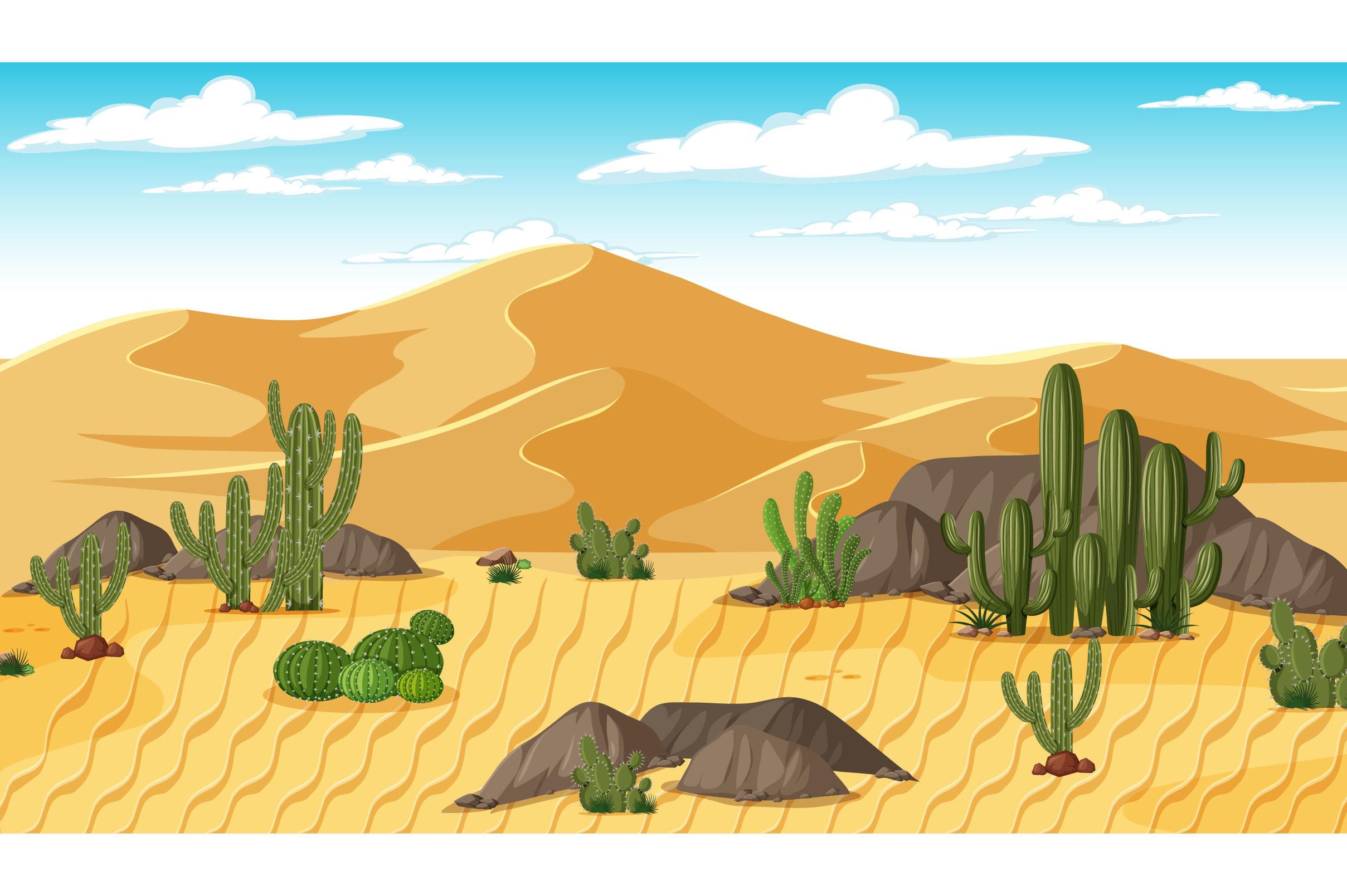 Desert-forest-landscape-day-time-scene