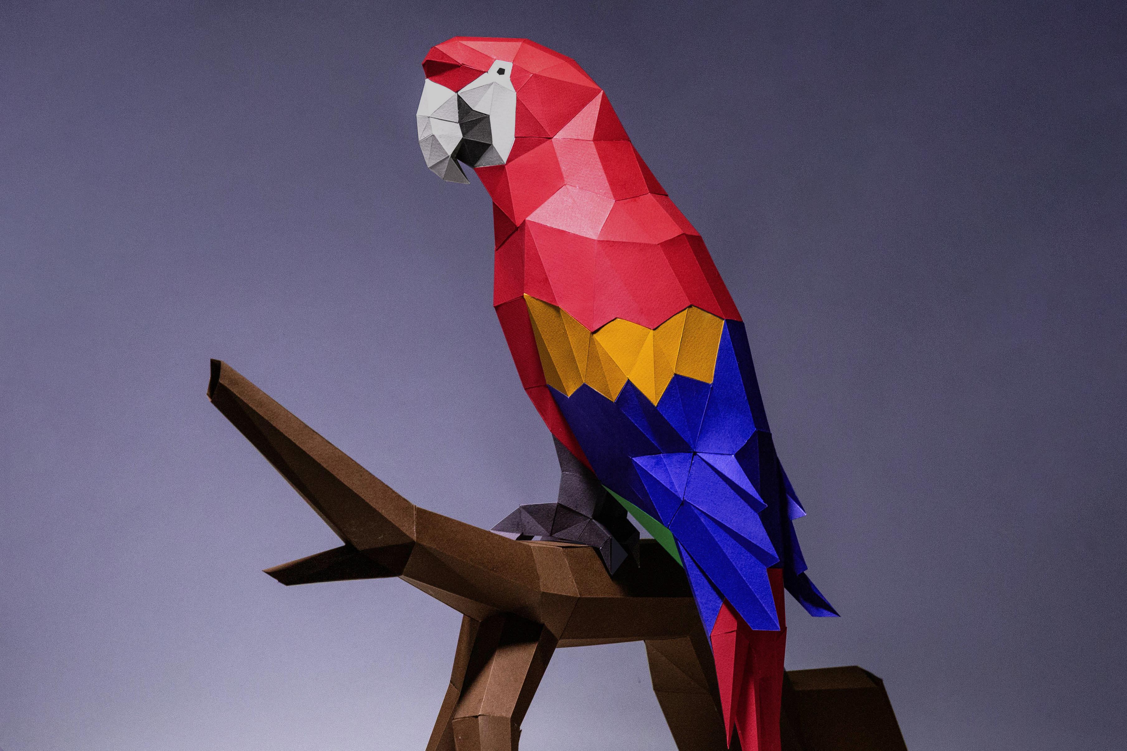 Macaw Paper Craft Digital Template
