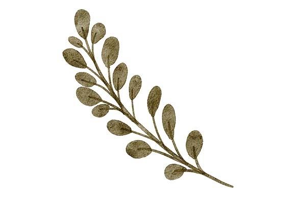 Watercolor Greenery Leaf Painting